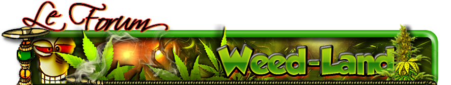 Forum Weed-Land